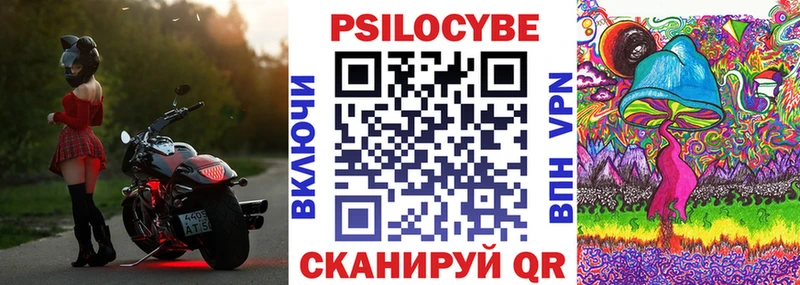 Псилоцибиновые грибы мухоморы  купить наркотик  Долгопрудный 